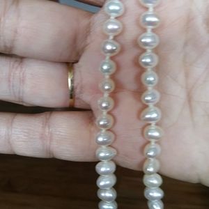 💥NEW💥Classic genuine freshwater pearls!